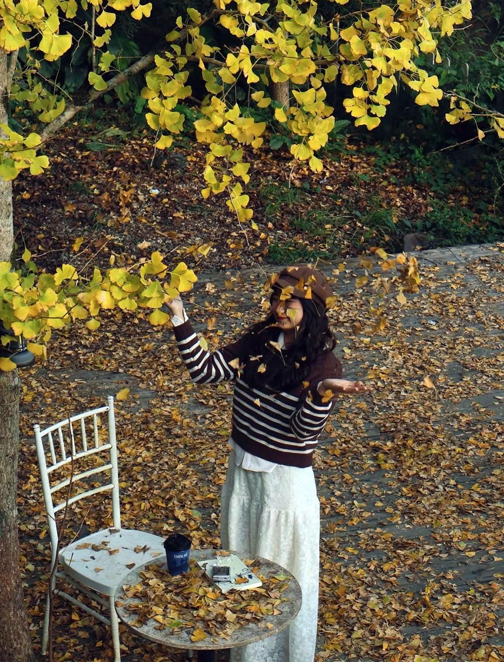 Sac vang ruc ro cua tan la cay ngan hanh thu hut dong dao du khach ghe tham Sa Pa. Hai vi khach tre Le Thu Thao (24 tuoi) va Nguyen Thuc Linh (26 tuoi) da danh thoi gian ghi lai nhung khoanh khac hiem hoi trong nam nay. Anh: Linh Jii