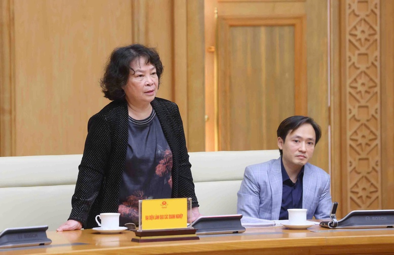 Cong ty TNHH Viet Nam 3000 phat bieu tai cuoc hop - Anh: VGP/Nguyen Hoang