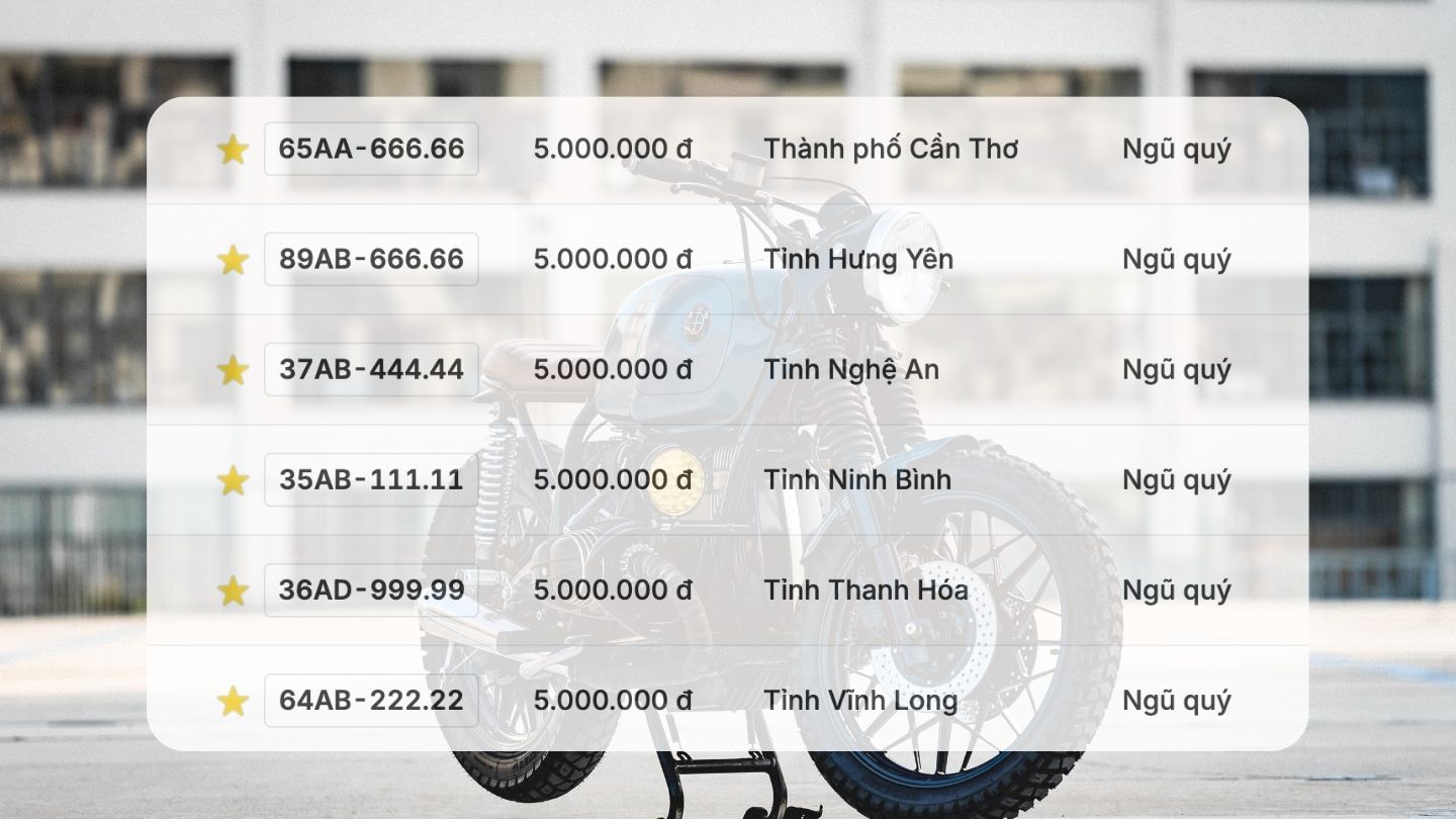 Bien so xe may co trong phien dau gia ngay 28.11. Do hoa: Hao Thien