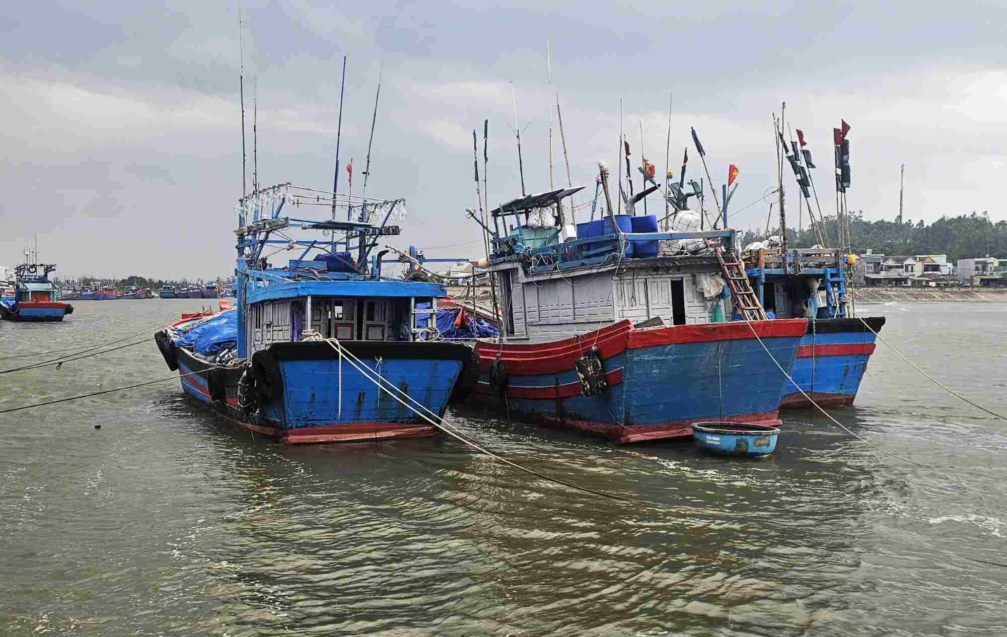 꽝응아이 제15호 태풍 예방을 위해 주민들에게 긴급 조치 시행. 사진: 응우옌 탄