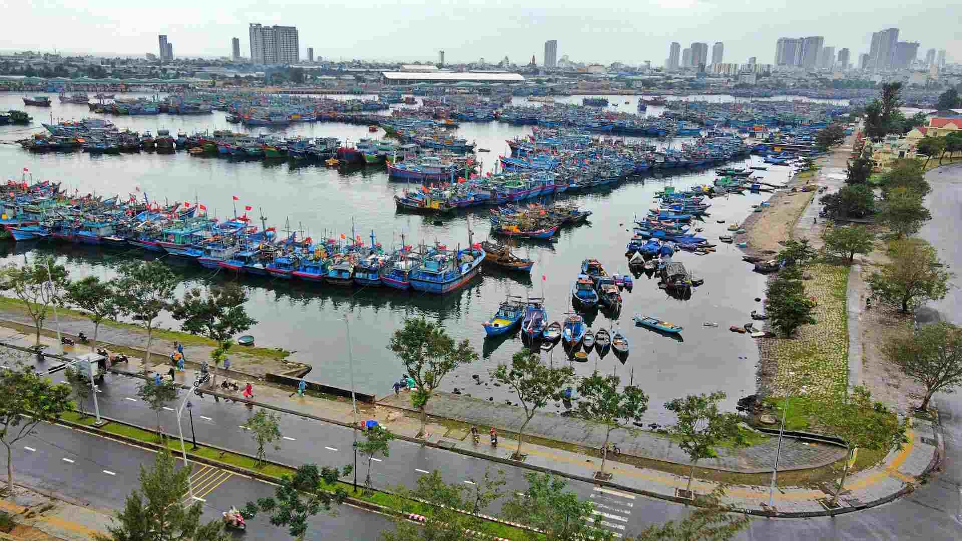 Mot goc cang ca va au thuyen Tho Quang, Da Nang. Anh: Xuan Son