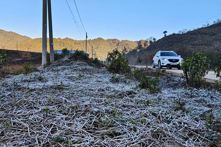 라이쩌우성 신호 마을에 서리와 얼음이 나타났습니다. 사진: Than Quy Vo