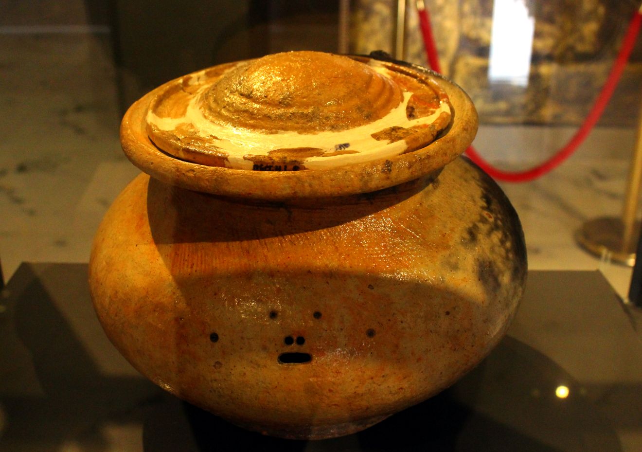 Bao vat quoc gia Mo Vo Go Cay Tram. Anh: Lam Dien 