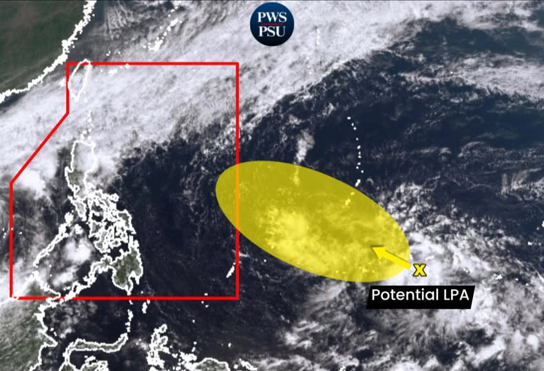 変動範囲は低気圧を形成し、台風15号コトーの後、台風ウィルマに発達する可能性があります。写真:フィリピン・ウェーブシステム/パシフィック・ストームアップデート