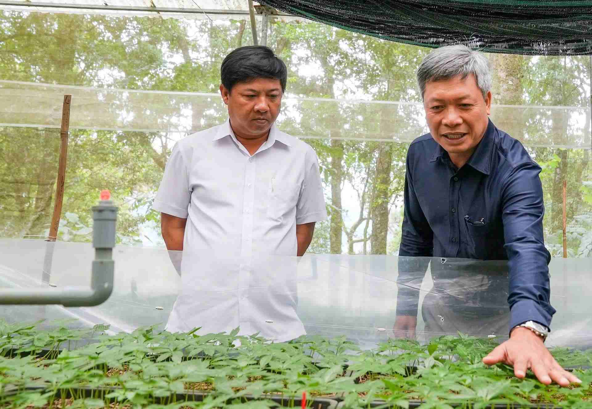 Da Nang city leaders visited and worked at Tra Linh Pharmaceutical Station. Photo: Hoang Bin