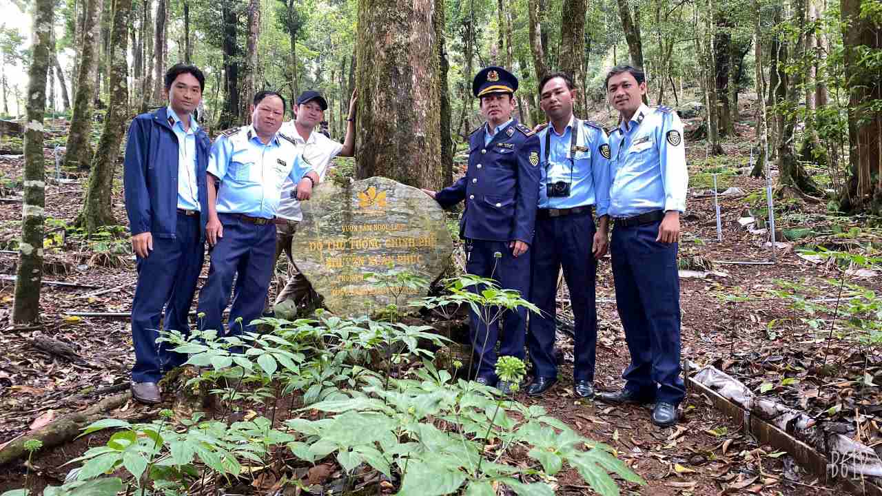 Phat trien duoc lieu, cay sam duoi tan rung khong chi tang truong kinh te ma con gop phan bao ve van hoa dong bao cac dan toc thieu so vung cao. Anh: Phan Thanh