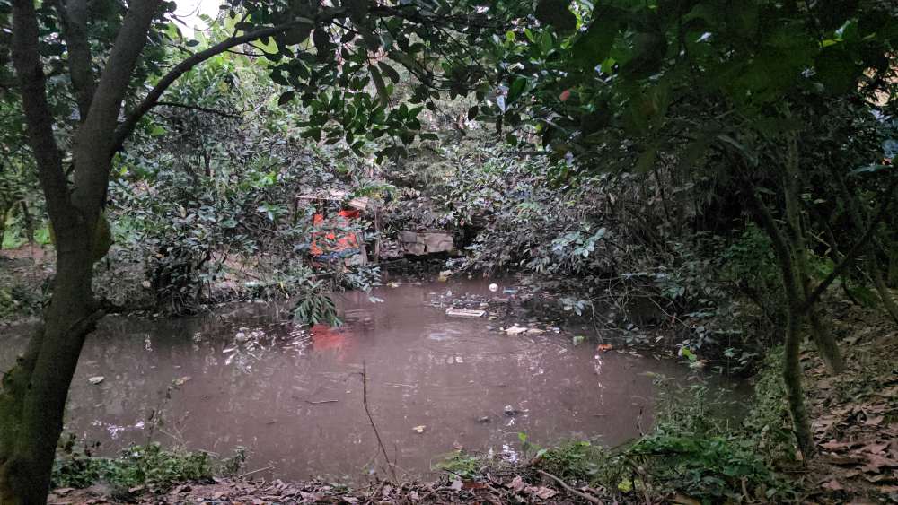 The child drowned in the lake behind the boarding house. Photo: Dinh Trong