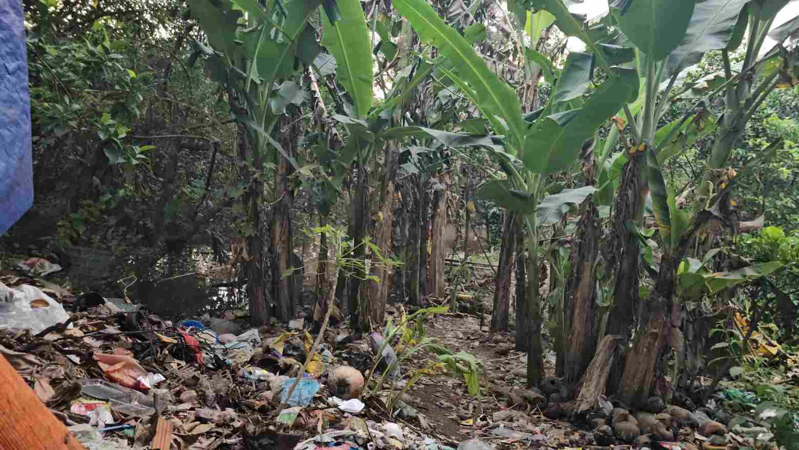 Chau be duoc vot len bo nhung da tu vong. Anh: Dinh Trong