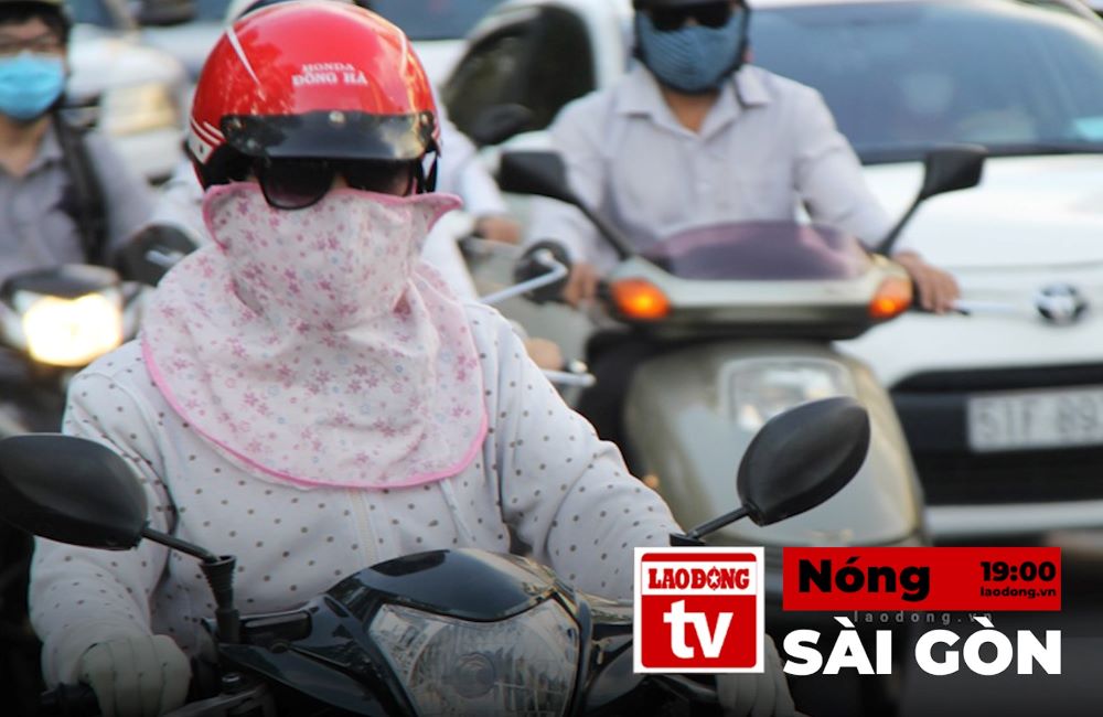 11월 28일 사이공 핫 뉴스