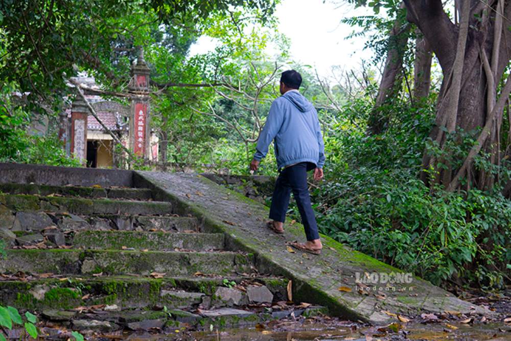 Nguoi dan Trung Son van luon mong khu rung som duoc cong nhan la di tich cap thanh pho de co co che bao ton. Anh: Thanh Huyen