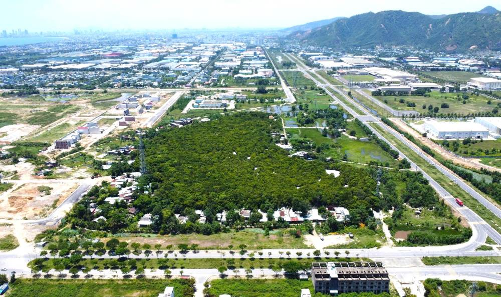 Khu rung Trung Son tai phuong Lien Chieu, TP Da Nang duoc vi nhu oc dao xanh giua long do thi. Anh: Ho Giap