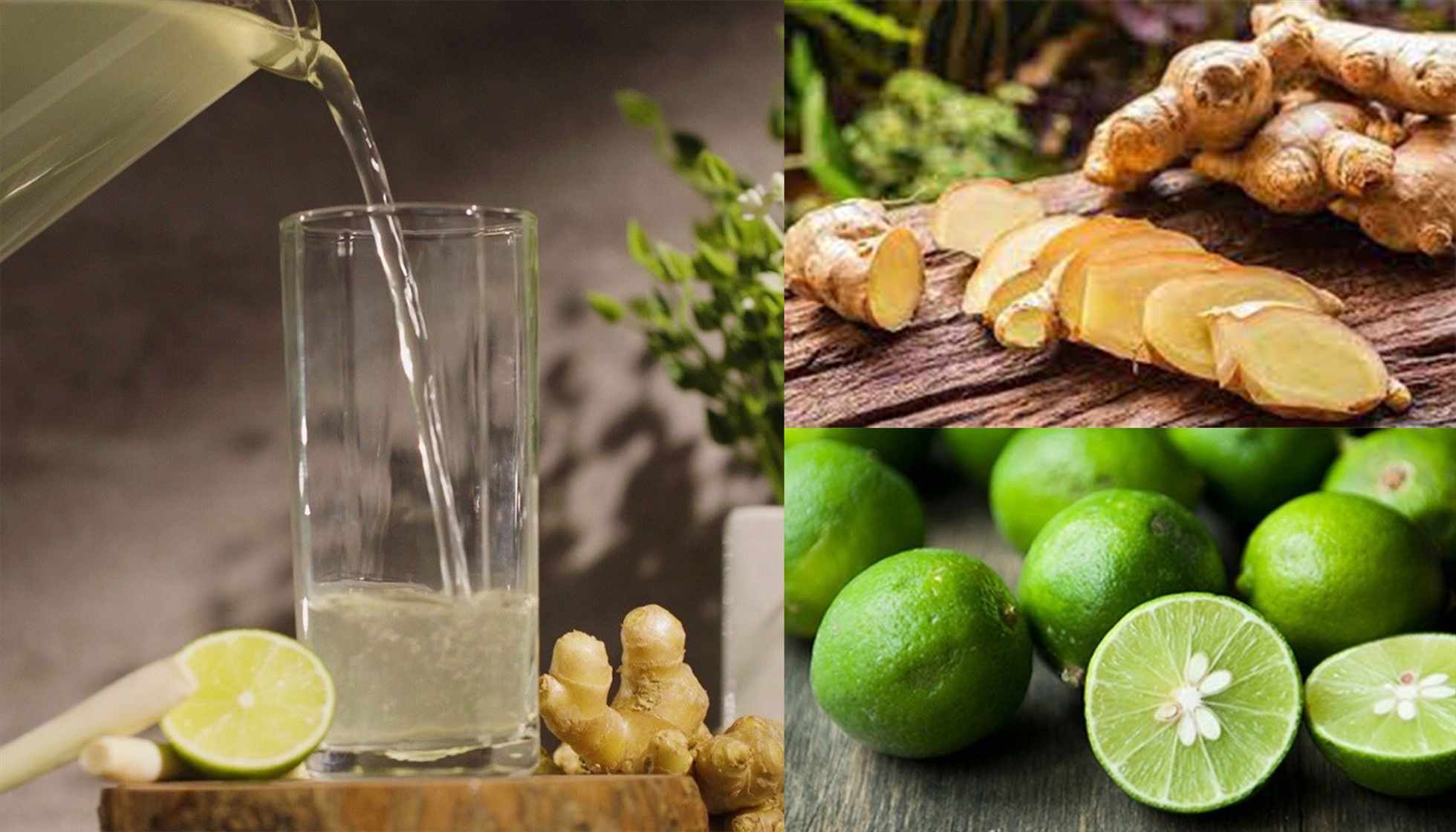 During the cold season and increased pollution, the following 7 herbal drinks help hydrate, soothe the respiratory tract and improve immunity naturally. Graphics: Ha Le