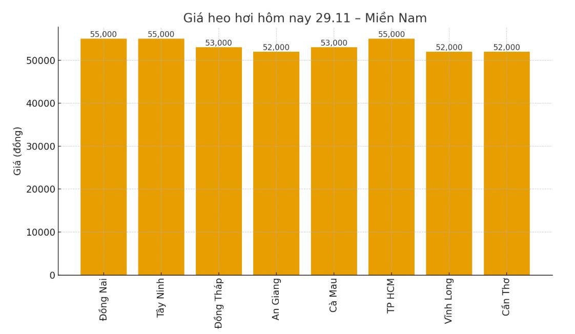 Gia heo hoi hom nay 29.11 tai khu vuc mien Nam. Do hoa: Thuy Linh