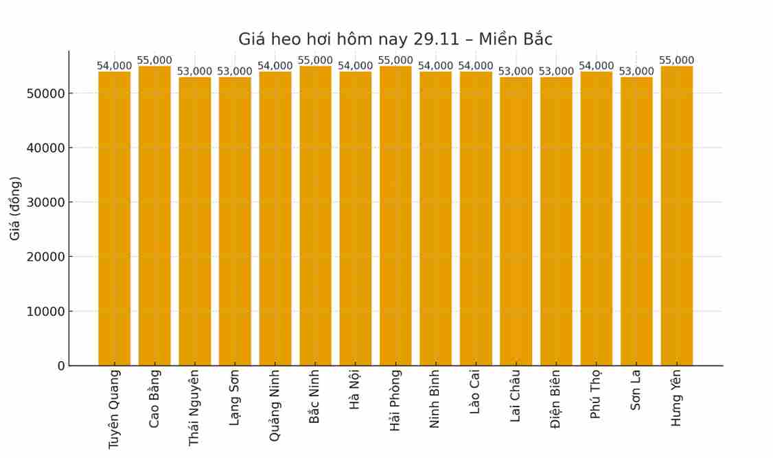 Gia heo hoi hom nay 29.11 tai khu vuc mien Bac. Do hoa: Thuy Linh