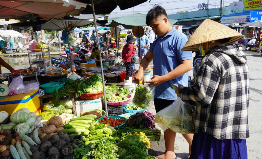 Tai cho Huynh Huu Nghia (xa My Tu, TP Can Tho) gia rau xanh cung ghi nhan muc tang tu 30 - 50%. Anh: Phuong Anh