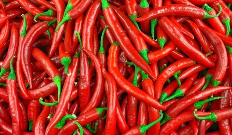 chili helps increase liver and kidney function if eaten properly. Photo: Kieu Vu.