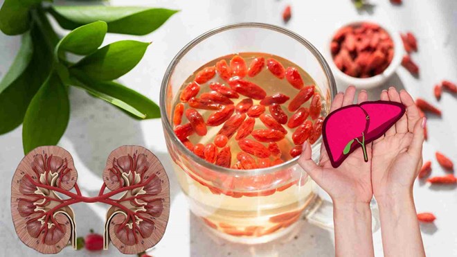 A valuable herb for people with high blood sugar. Graphics: Ha May