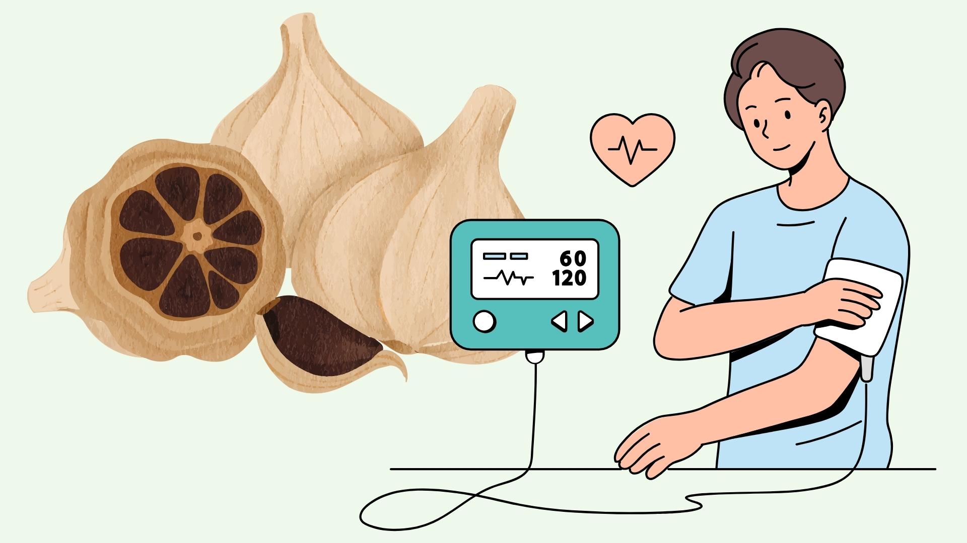 Doctor reveals about black garlic in controlling blood pressure. Graphics: Linh Dan