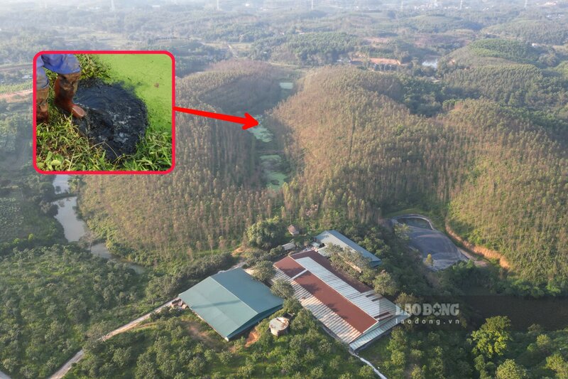 Người dân lo lắng, bức xúc phản ánh trại lợn xả thải khiến môi trường bị ô nhiễm. Ảnh: Tô Công.