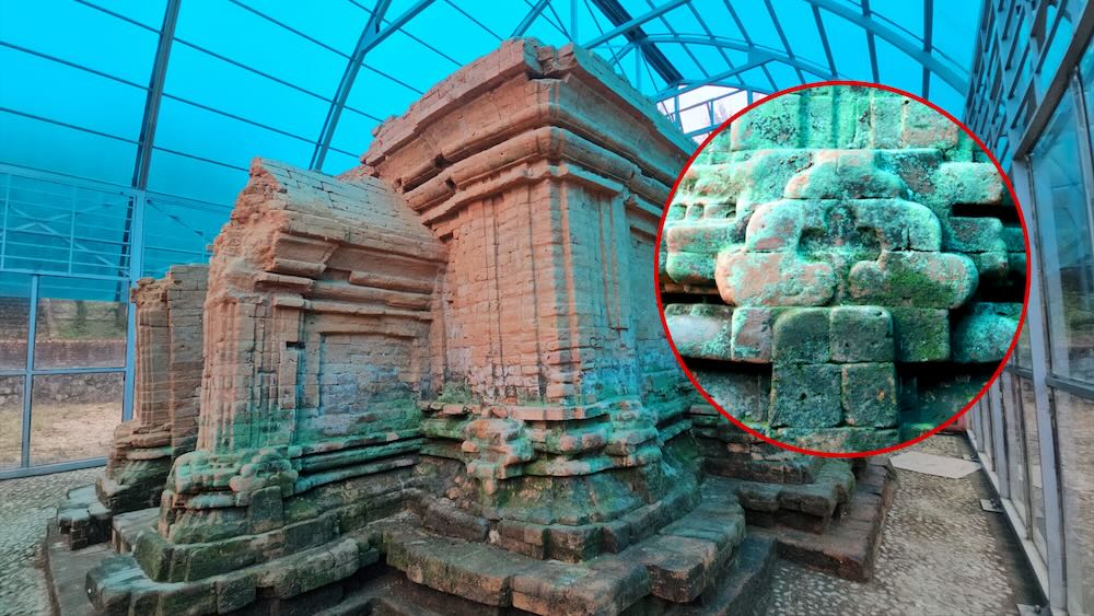 후에의 천년 된 참탑 기슭은 며칠 동안 물에 잠긴 후 푸른 이끼로 덮여 있습니다. 사진: Nguyen Luan