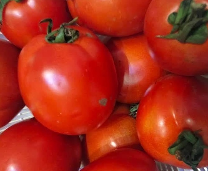 トマトは、適切に使用すれば血圧を下げるのに役立ちます。写真: キエウ・ヴ