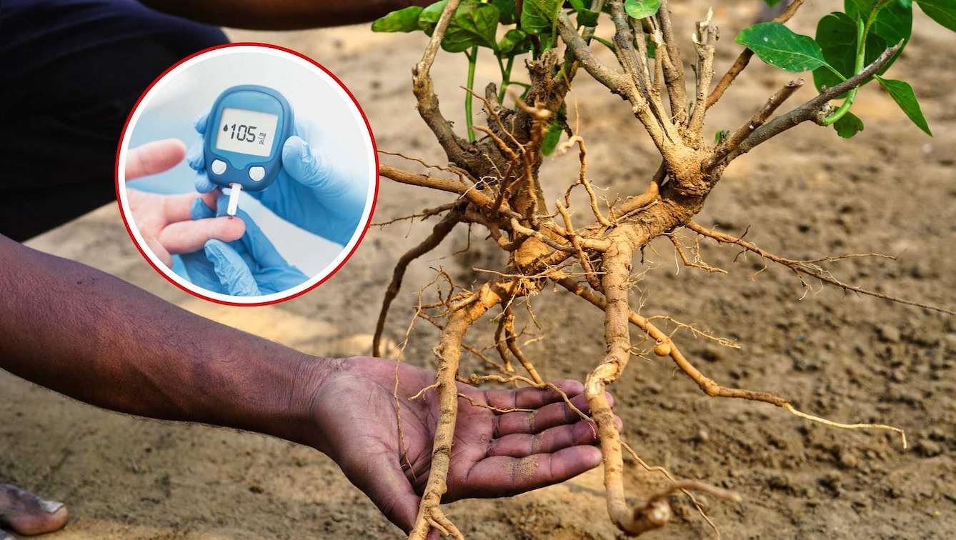 Almonds help stabilize blood sugar and improve sleep. Graphics: Viet Hoang