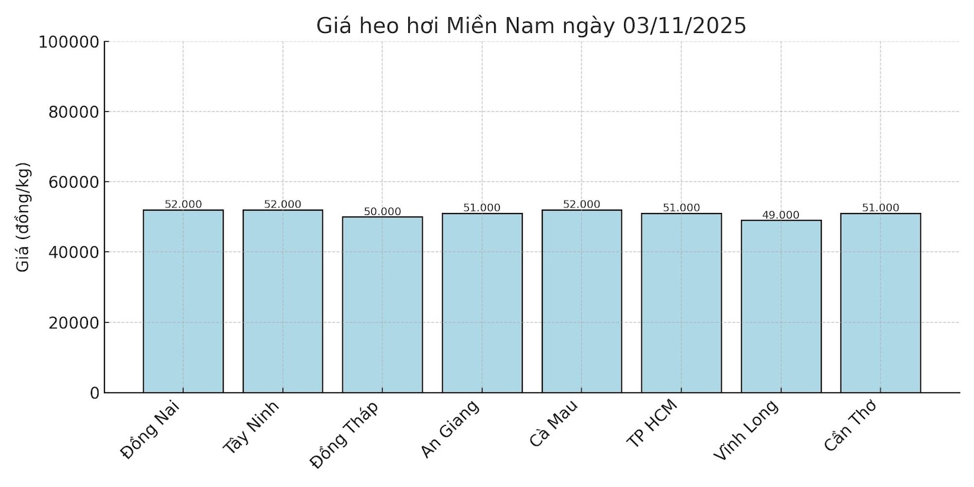 Gia heo hoi ngay 3.11 tai khu vuc mien Nam. Do hoa: Thuy Linh