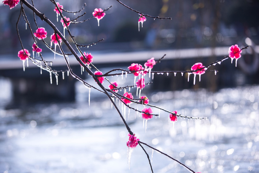 There are forecasts for 4 cold air waves in Guangdong province, China in November. Photo: Xinhua