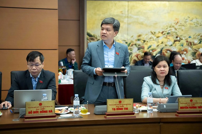 Dai bieu Ta Dinh Thi (doan Ha Noi). Anh: Media Quoc hoi