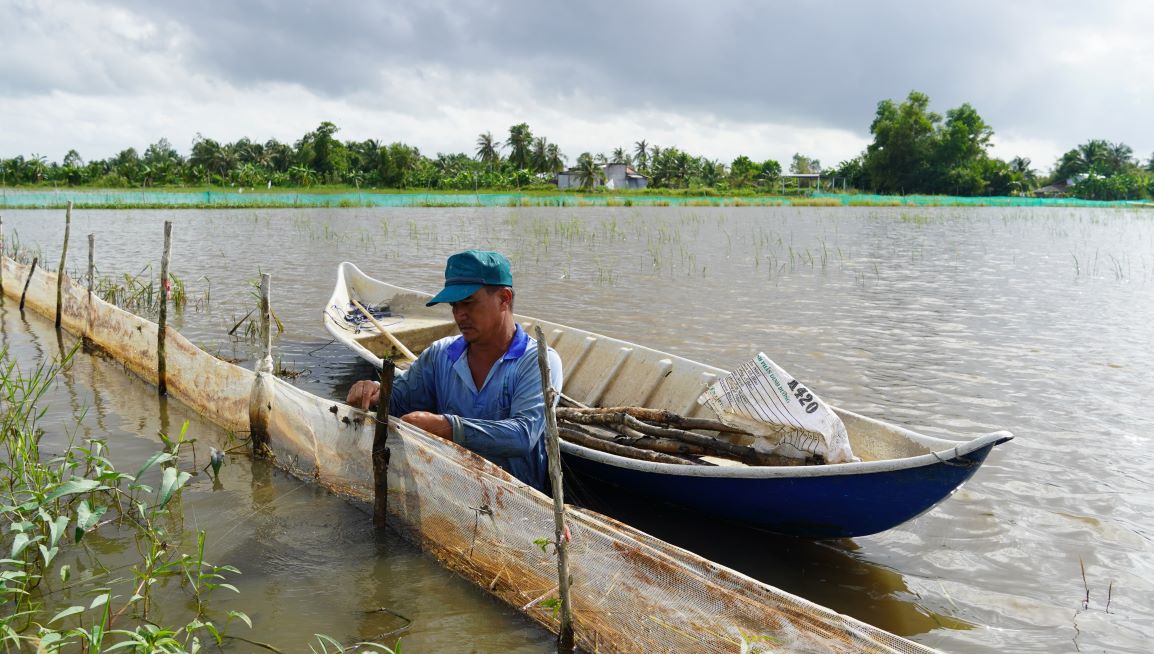 Nong dan My Tu (TP Can Tho) quay luoi tha ca vao ruong nuoi vao mua nuoc noi. Anh: Phuong Anh