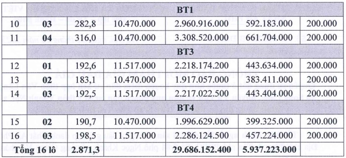 Thong tin phien dau gia quyen su dung dat o tai xa Thu Tri, tinh Hung Yen. Anh: Cong ty Dau gia Hop danh Nhat An Phu