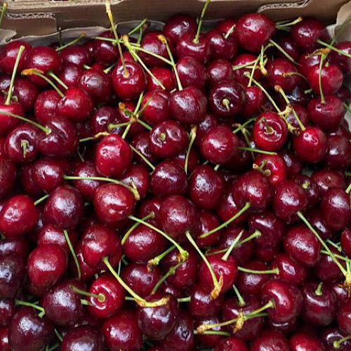 Cherry juice can help eliminate uric acid. Photo: Ha May.