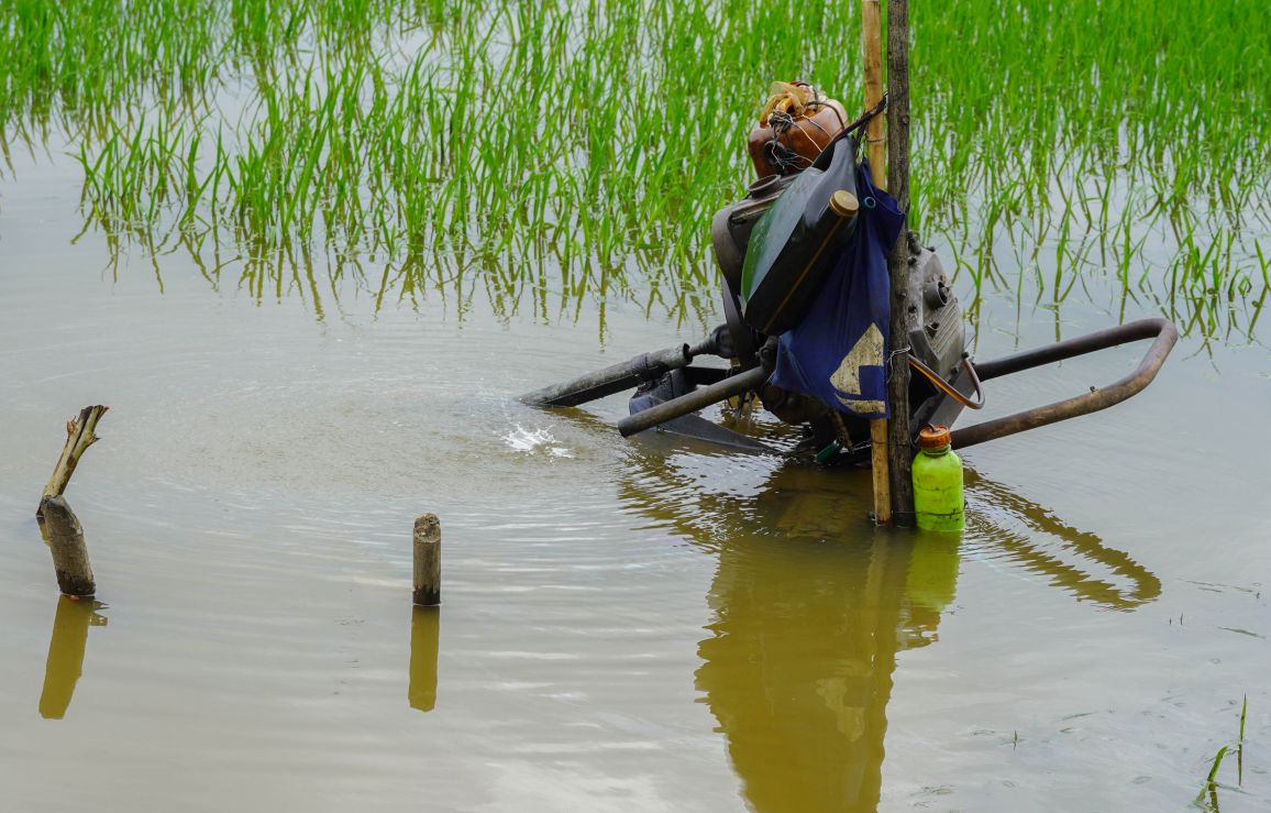 Theo Chi cuc Trong trot va Bao ve thuc vat (So Nong nghiep va Moi truong TP Can Tho) den cuoi thang 10.2025, TP co 4.280 ha cay trong bi ngap do trieu cuong dang cao. Trong do, cay an trai co dien tich bi ngap lon nhat, voi 3.842 ha, con lai la cay lua va rau mau. Nong dan dang tich cuc bom nuoc ra nen chua ghi nhan anh huong den cay trong.