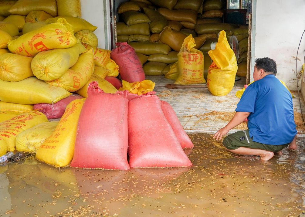 Tai vua lua cua ong Tran Van Khanh (xa My Phuoc) du nha da duoc xay nen cao de chua lua nhung nuoc dang ket hop mua lon khien nuoc tran vao, lam uot hon 20 bao lua. “Gio toi phai khan truong chuyen hon 100 bao lua con lai di noi khac, neu cham se hu tiep“, ong Khanh cho hay.