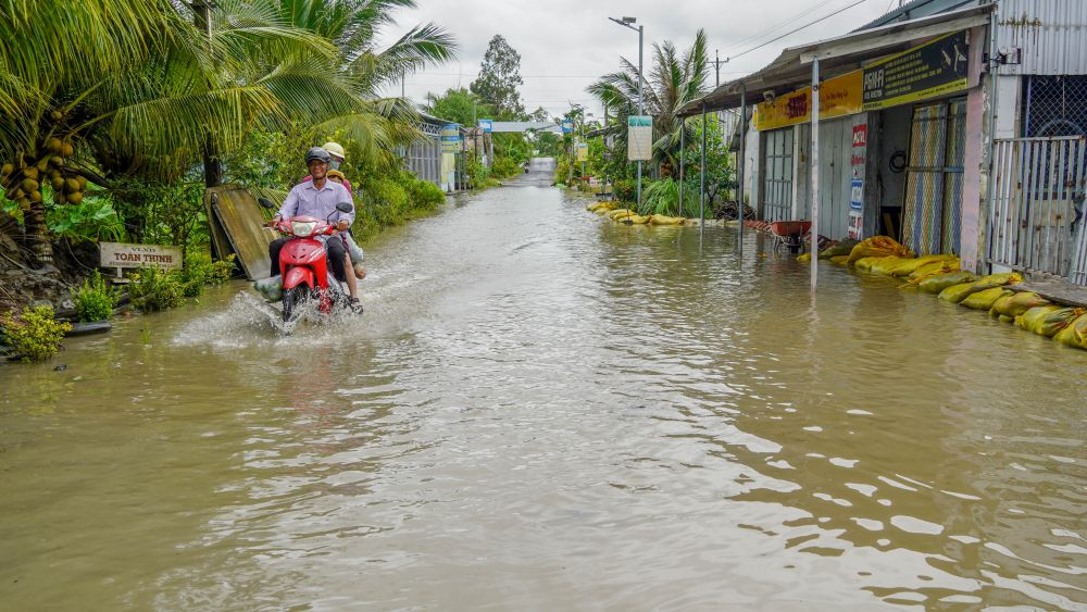 Mua lon cong voi muc nuoc dang cao khien nhieu vung trung o nong thon TP Can Tho ngap sau. Trong anh tuyen duong huyen lo 19 dan vao xa My Phuoc nhieu doan ngap mac du nen duong kha cao.