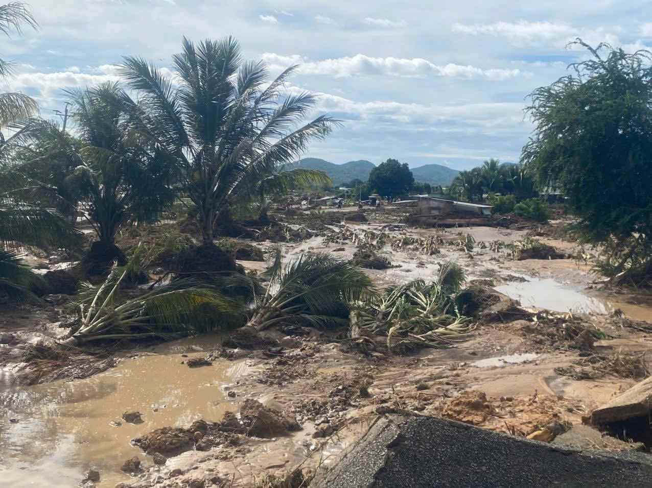 Cay trong cua nguoi dan bi nuoc lu cuon phang gay thiet hai nang ne. Anh: Phuc Khanh