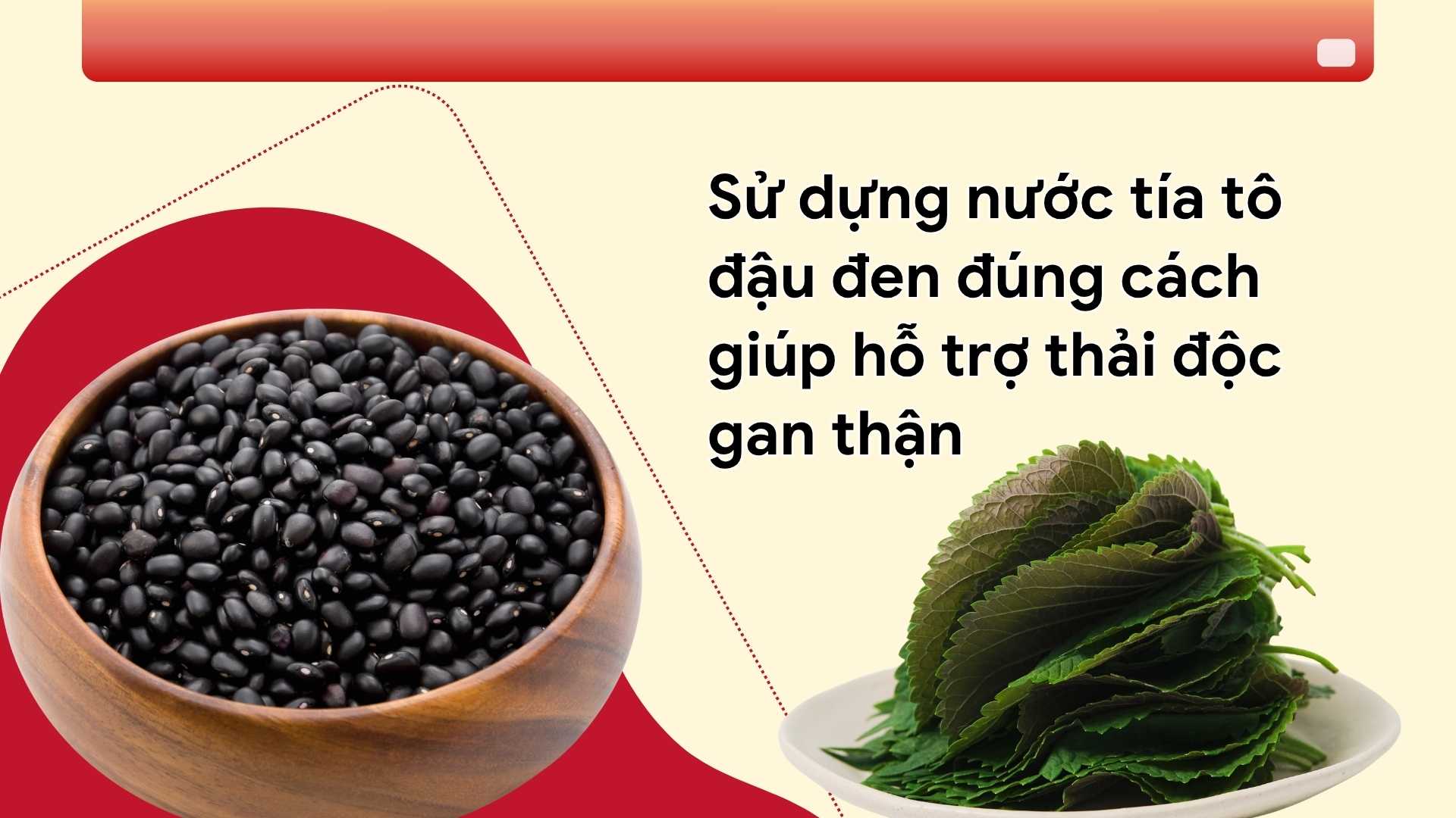 L'eau de tia to dau den aide a detoxifier le foie et les reins. Photo graphique : Huong Son