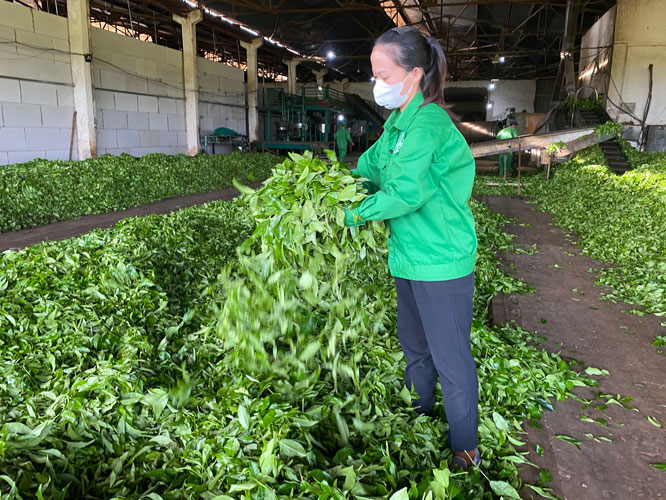 Cac co so san xuat tren dia ban co nhu cau tuyen lao dong chuyen mon, ky thuat, y thuc cong nghiep. Anh: Mai Hoa