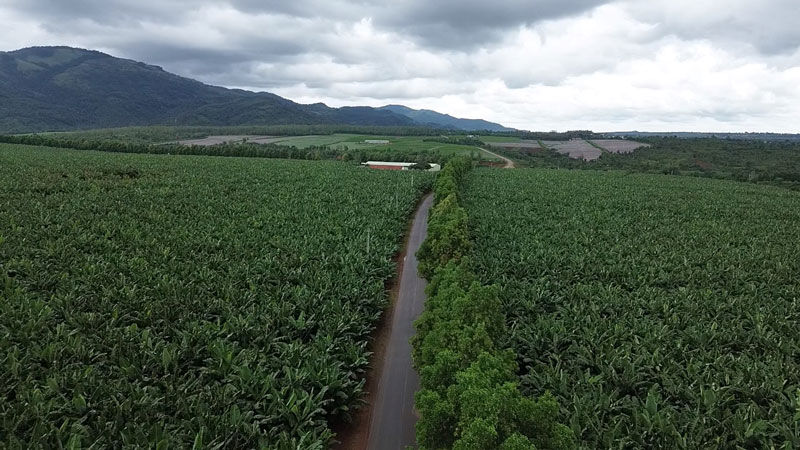 Quy dat nong nghiep rong lon, thoi tiet on dinh, nguoi lao dong co co hoi de thoat ngheo, vuon len tu lao dong san xuat. Anh: Mai Hoa