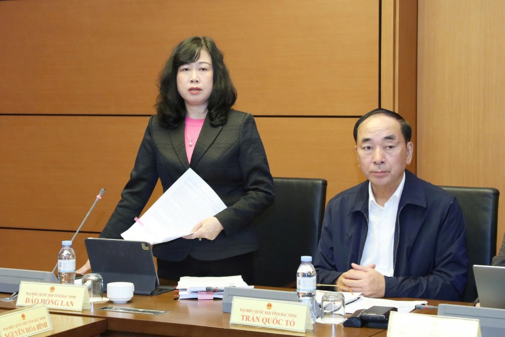 Minister of Health Dao Hong Lan commented on the Law amending and supplementing a number of articles of the Price Law. Photo: Minh Anh