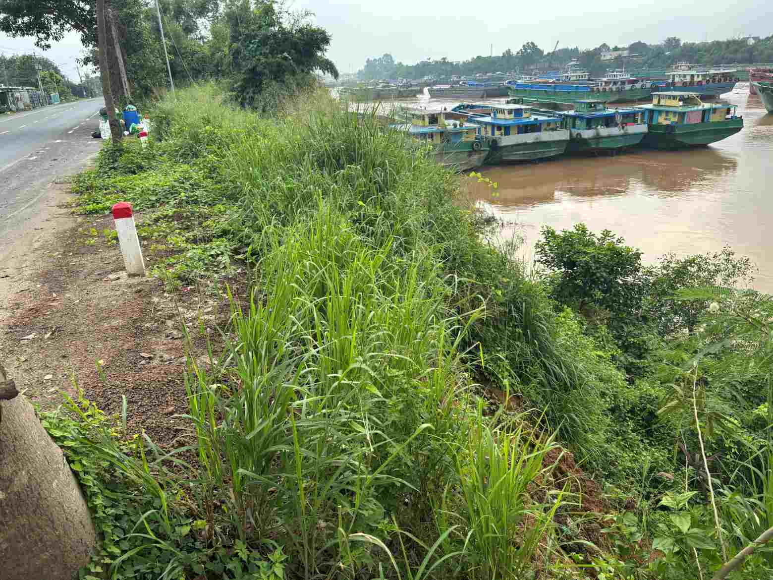 The landslide on the Dong Nai river bank threatens DT 746 road in Thuong Tan commune, Ho Chi Minh City. Photo: Dinh Trong