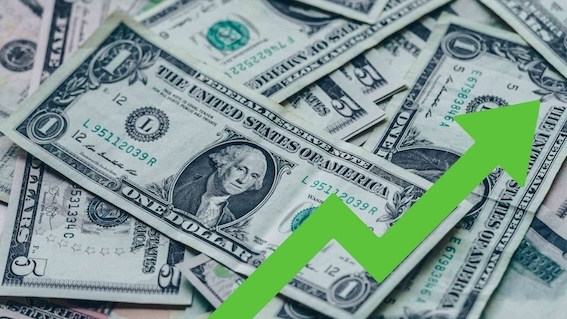 Experts make new comments on the USD exchange rate trend. Photo: Khuong Duy.