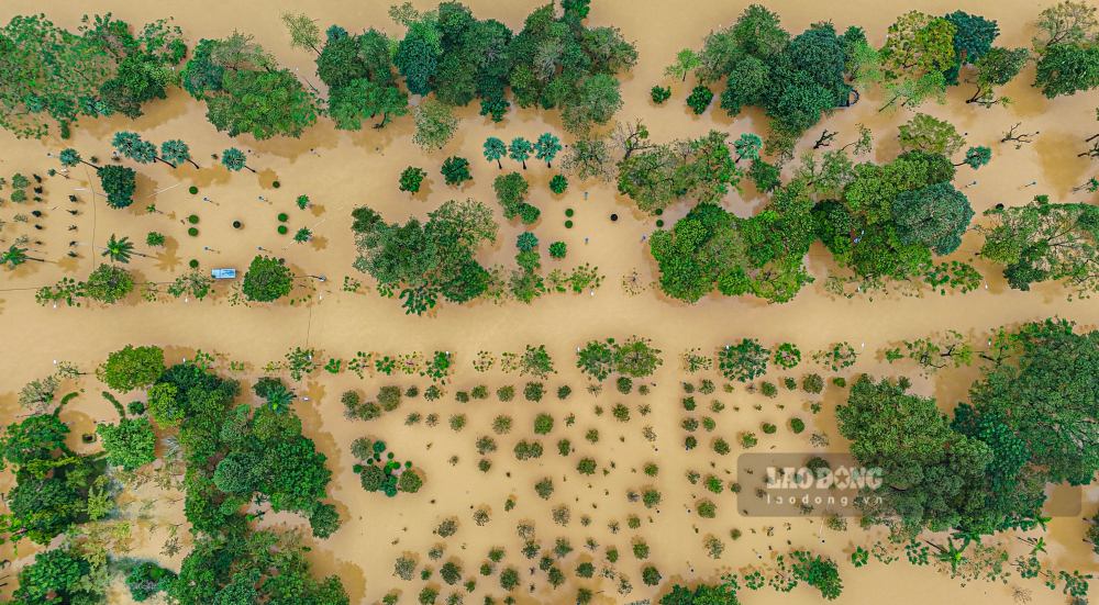 Duong Le Duan doan khu vuc Ben Me bi ngap sau tu 60-80cm.