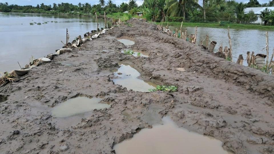 タンロンホイコミューンを通るマン川堤防の地滑りを克服するプロジェクトが建設中で、2025年12月に完了する予定です。写真: Hoang Loc