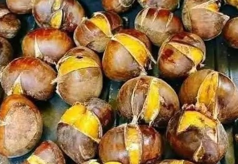 This rich, fatty seed can support heart health. Photo: Kieu Vu