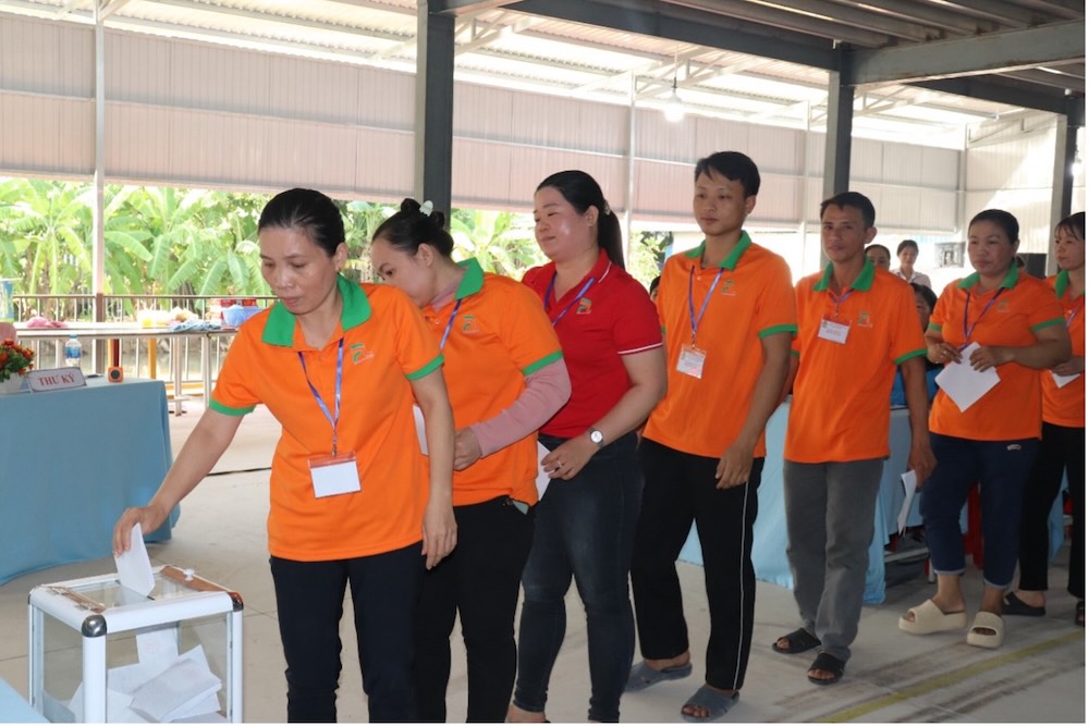 Phien bau cu Ban Chap hanh CDCS nhiem ky 2025–2030. Anh: Luu Hung. 