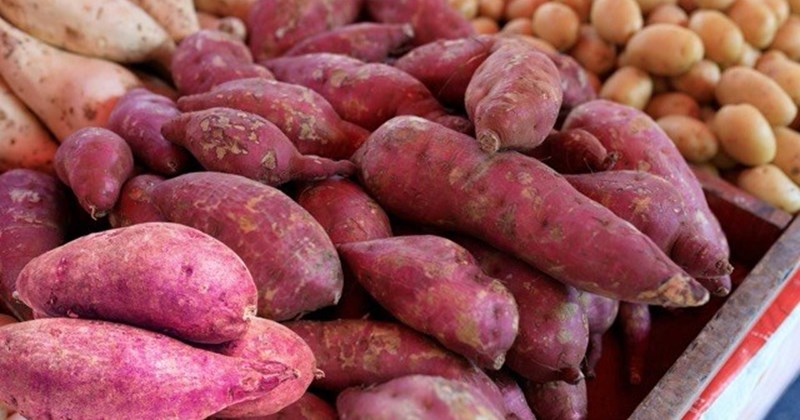 Khoai lang - nên ăn khi nào để vừa no lâu vừa bổ dưỡng