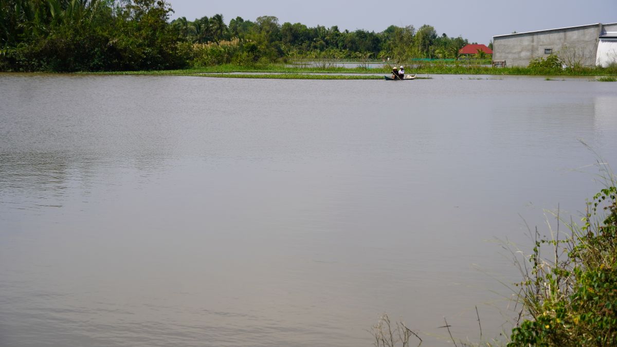 Xa My Tu (TP Can Tho) chu truong chuyen doi dat ngap sang nuoi ca, trong sen va nuoi vit chay dong de giam thiet hai vao mua nuoc noi. Anh: Phuong Anh