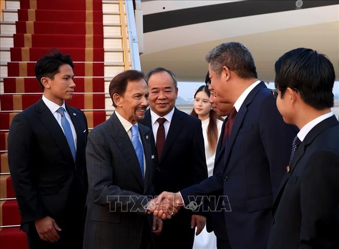 El rey de Brunei Darussalam Haji Hassanal Bolkiah. Foto: Ministerio de Asuntos Exteriores