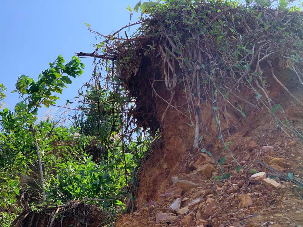 Many areas in So Mountain have shown signs of landslides. Photo: Thanh Huyen